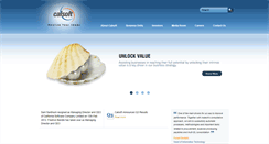 Desktop Screenshot of calsoftgroup.com